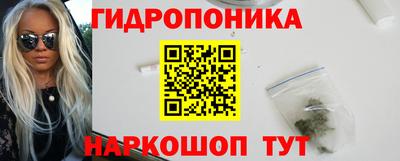 прущие грибы Заводоуковск