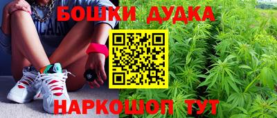прущие грибы Заводоуковск