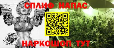 прущие грибы Заводоуковск