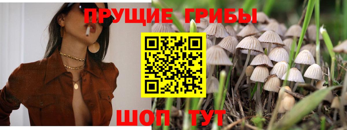 Кубинка  Галлюциногенные грибы GOLDEN TEACHER  Галлюциногенные грибы MAGIC MUSHROOMS  Вход с VPN 