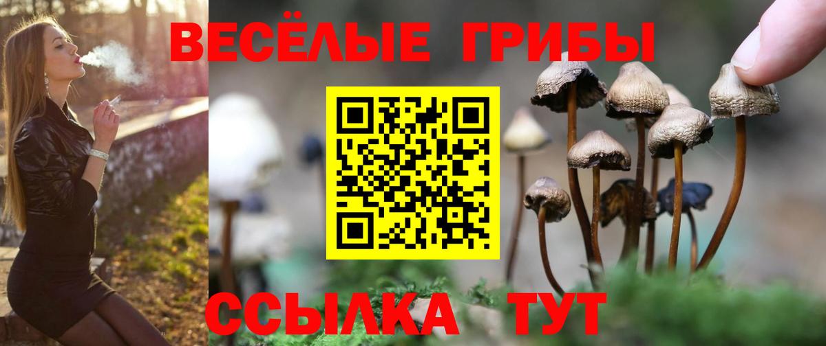 Галлюциногенные грибы ЛСД Кубинка